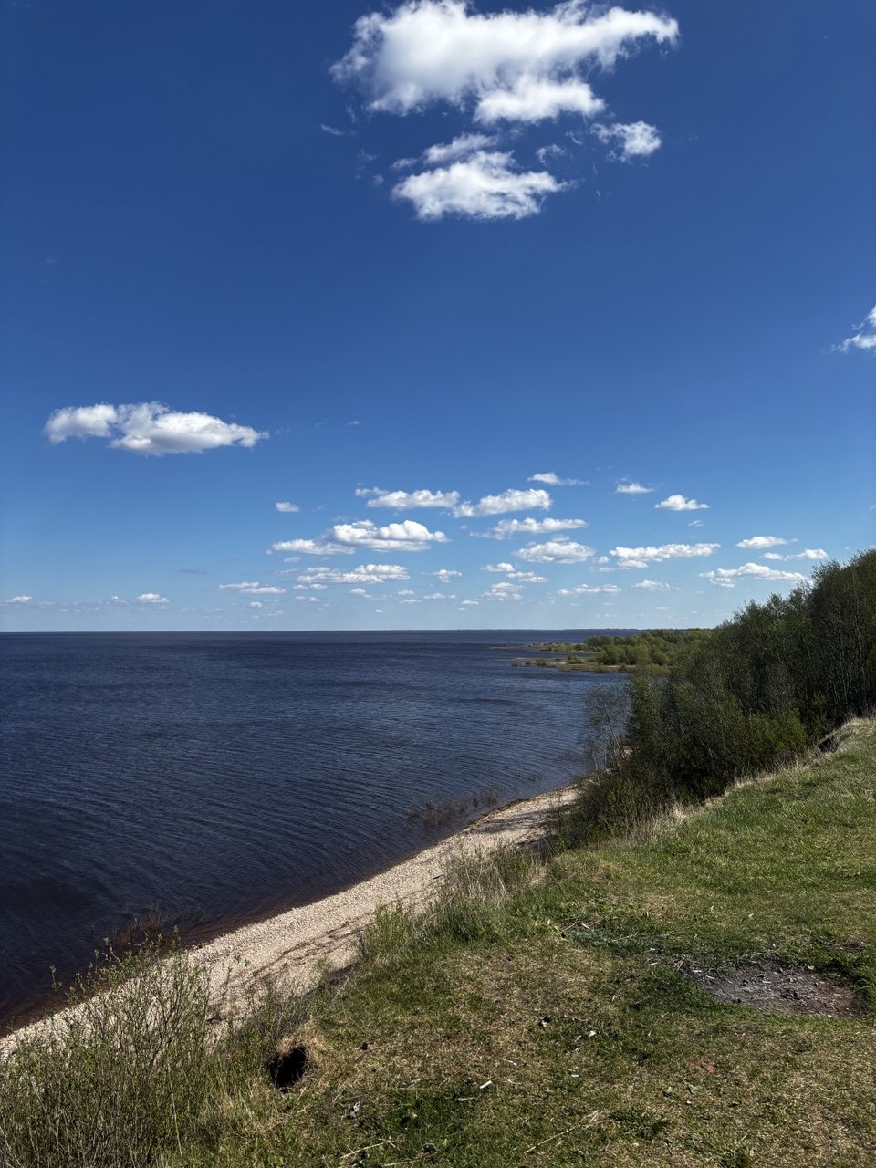 Озеро Ильмень на закате — спокойная зеркальная вода, камыши, золотисто-розовое небо